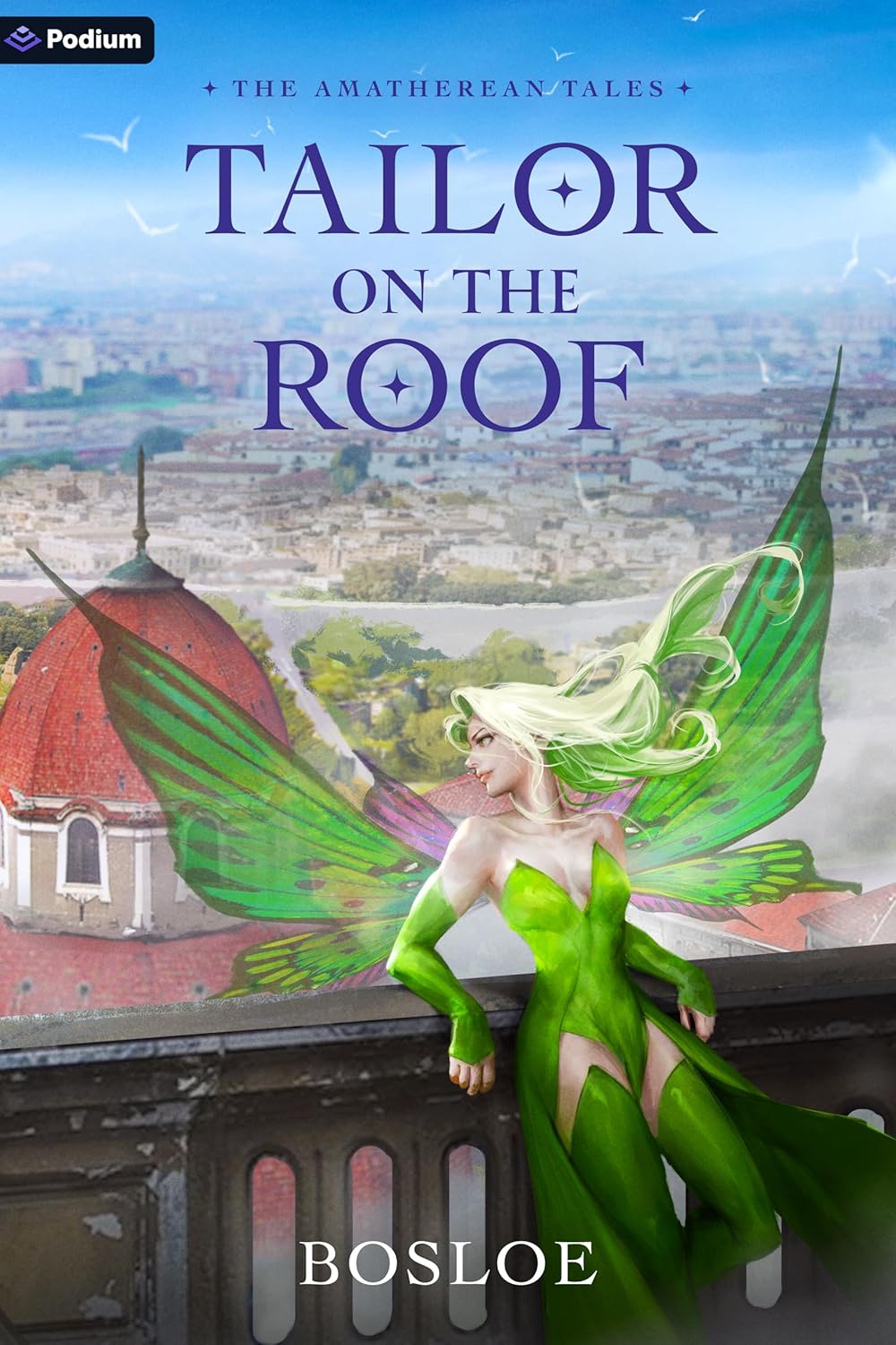 Tailor on the Roof LitRPG book cover